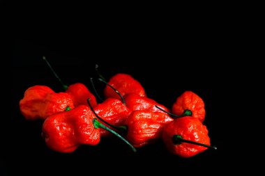 Kırmızı Bhoot Jolokia baharatlı hayalet demet izole siyah arka plan metin için yer ile biber