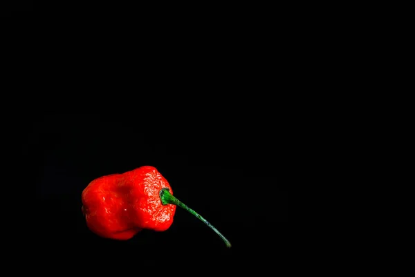 Jedna Červená Bhoot Jolokia Pikantní Ghost Pepř Izolován Černém Pozadí — Stock fotografie