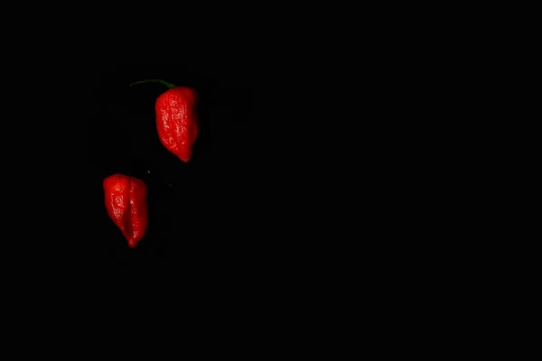 つの赤 Bhoot Jolokia スパイシーな幽霊コショウ テキストのためのスペースとの分離の黒の背景 — ストック写真