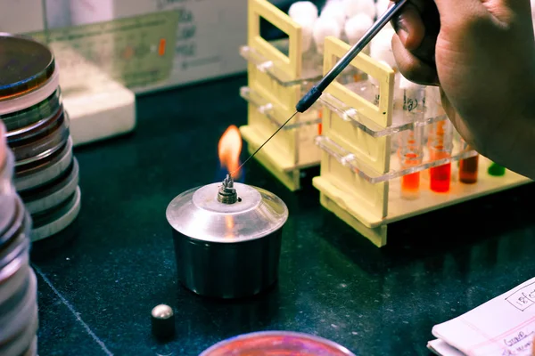 微生物接种回路在灵灯火焰中加热微生物实验室灭菌消毒 — 图库照片