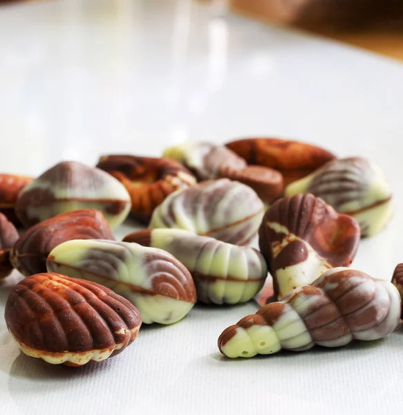 Concha Mar Forma Chocolates Belgas Variados Fundo Branco Close Macro — Fotografia de Stock