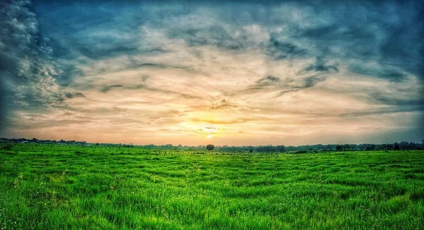 Green Grass Meadow Blue Clouds Sunset Wide Angle Landscape — Stock Photo, Image