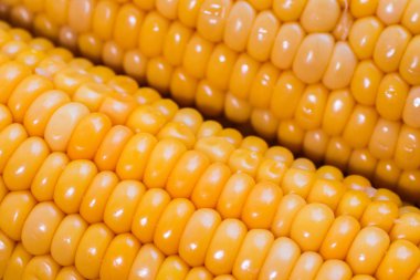 sarı mısır sapı yakın çekim fotoğraf ahşap arka planda