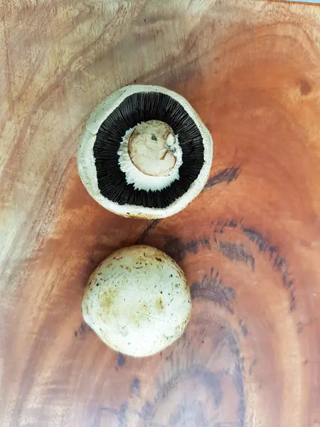 Paddestoel Een Houten Achtergrond Met Ruimte Voor Tekst — Stockfoto