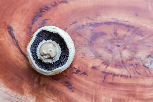 木制背景上的蘑菇 有文字空间 — 图库照片