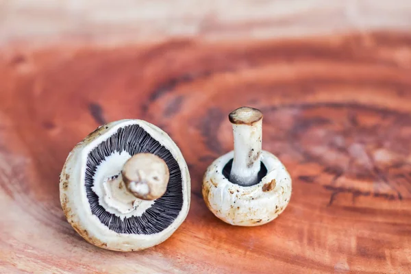 Paddestoel Een Houten Achtergrond Met Ruimte Voor Tekst — Stockfoto