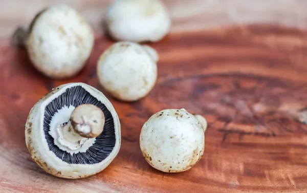 Paddestoel Een Houten Achtergrond Met Ruimte Voor Tekst — Stockfoto