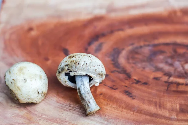 Paddestoel Een Houten Achtergrond Met Ruimte Voor Tekst — Stockfoto