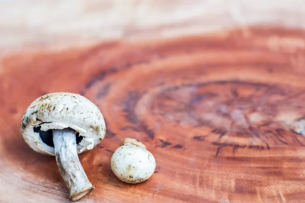 木制背景上的蘑菇 有文字空间 — 图库照片