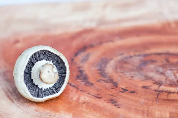 Paddestoel Een Houten Achtergrond Met Ruimte Voor Tekst — Stockfoto