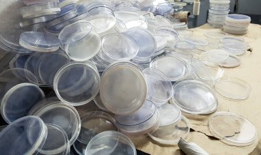 Mikrobiyoloji laboratuvarında boş kültür plakaları yığını