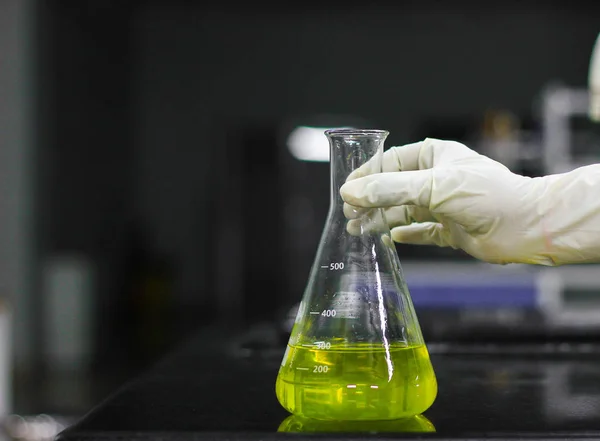 Cientista Segurando Frasco Cônico Vidro Uma Mão Enluvada Laboratório Química — Fotografia de Stock