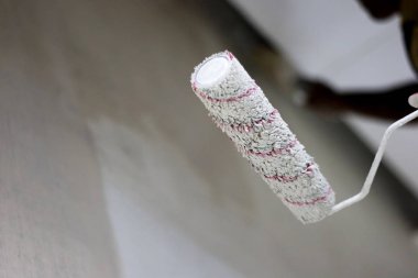 bir tuval rulo fırça boya duvarlar için