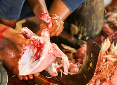 Satılık el ile ayakta bıçak DAO üzerinde tavuk kesme kasap