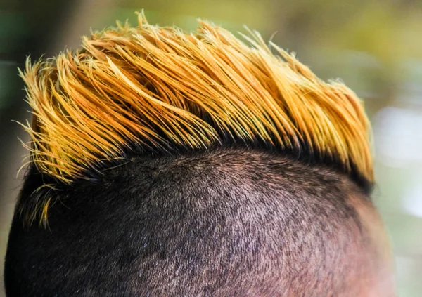 莫霍克发型特写视图与黄色染发 — 图库照片