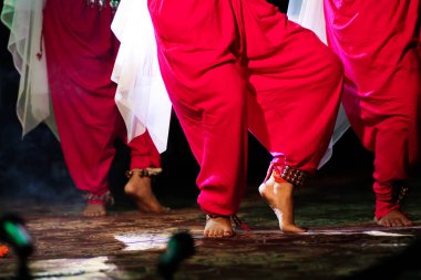 seçici odak ve bulanıklık ile müzikal bileklik ile ayak hint klasik dans formu