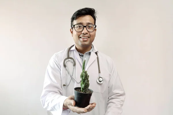 Manlig indisk doktor i vit päls och stetoskop med en kaktus p — Stockfoto