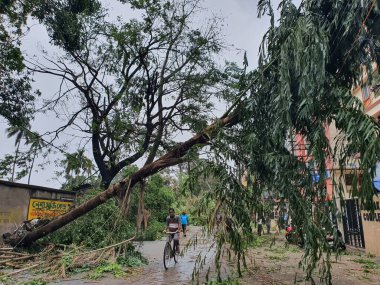 21 Mayıs 2020 - Narendrapur, Batı Bengal, Hindistan. 20 Mayıs 2020 'de Güney Bengal' e çarpan Kasırga Amphun 'un ardından yayalar yürürken ağaçlar tahrip oldu ve yolda devrildi..