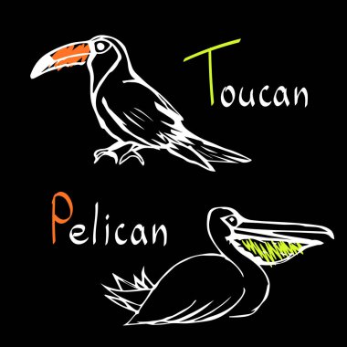 Tukan, Pelikan, egzotik vektör kuşlar, vahşi doğa, tropikal Tema