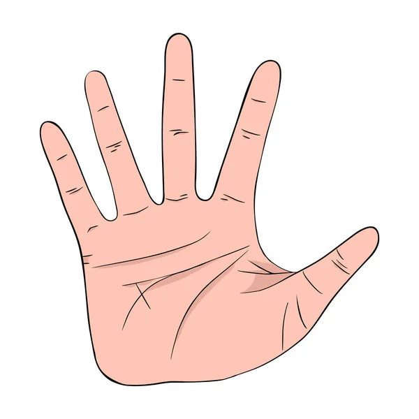 Gesto rukou — Stockový vektor