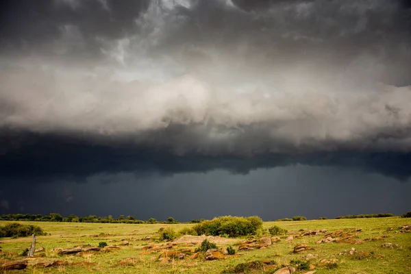 Thunderstorm Moviéndose Sobre Una Sabana Maasai Mara Game Reserve Kenia —  Fotos de Stock