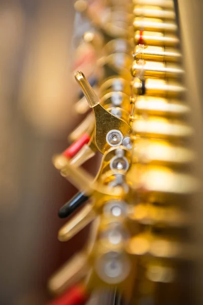 Closeup View Lever Harp — Stock Photo, Image