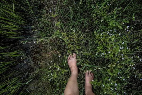 Pés Descalços Andando Sobre Campo Grama Verde — Fotografia de Stock