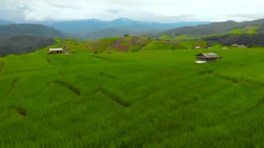 Pirinç Teras, havadan görünümü