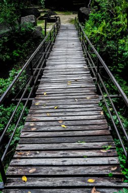 Tahta köprüden karşıya ormandaki nehir