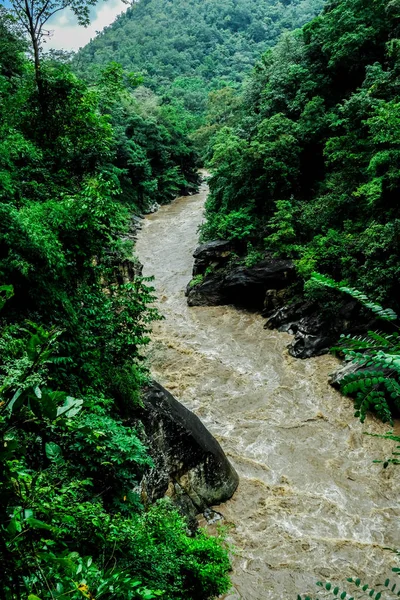 川熱帯の緑の森と山の自然景観 — ストック写真