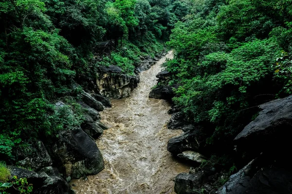 Natürliche Landschaft Des Flusses Tropischen Grünen Wald Mit Berg — Stockfoto