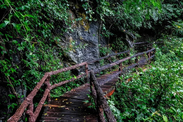 Holzbrücke Mit Holzgeländer Wald Umgekippt — Stockfoto