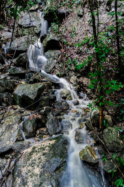 Small waterfall in the forest