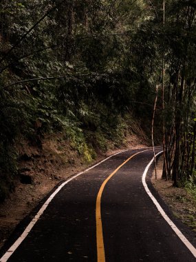 yol, kaldırım Tayland Milli Parkı yeşil orman içine