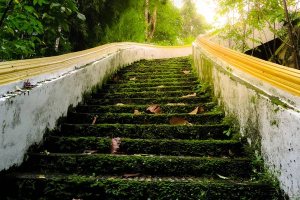 Alte Treppe Mit Moos Die Einen Fußweg Durch Den Aussichtspunkt — Stockfoto