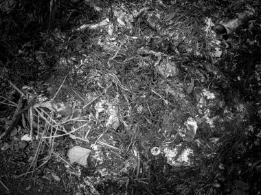 Yaz tarlasında yanmış kuru ot ve saman. Siyah ve Whi