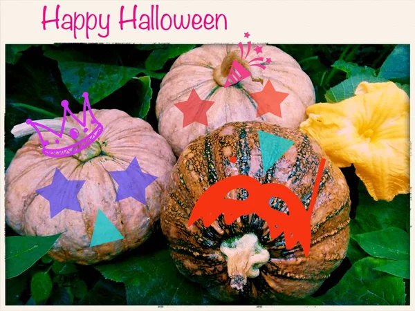 Happy Halloween Card Halloween — Fotografie, imagine de stoc