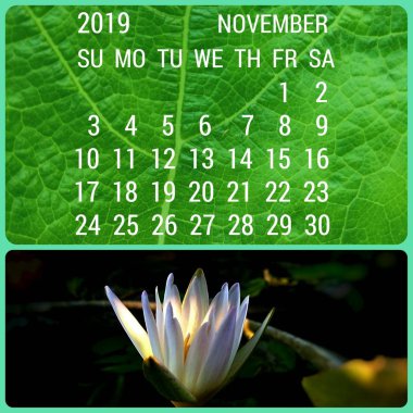 Kasım 2019 takvim ve çiçek, Tayland.