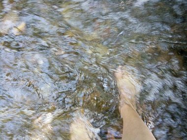 Phrae Tayland açık akışında ayakta.