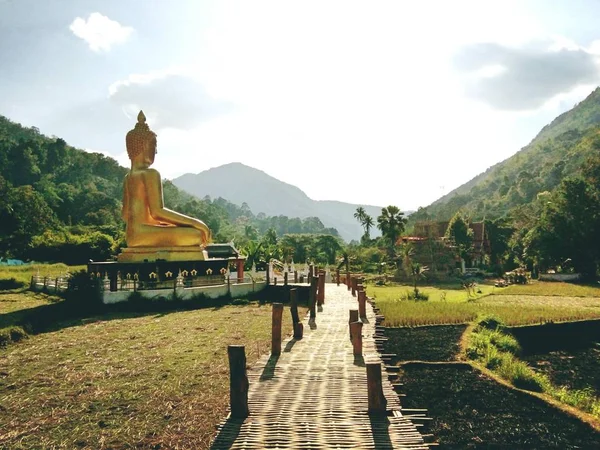 Grande Statue Bouddha Dans Champ Temple Wat Thaïlande Phrae — Photo