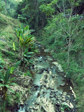 Forest park vadi: Phrae Tayland kanalda.