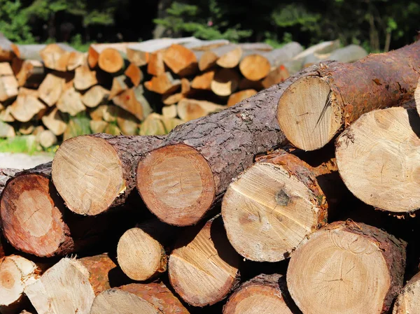 Harvesting of wood in the forest. The sawn logs lie in the woodpile. Heating of premises in the village. Industrial deforestation of forests and green spaces. Cross section of the tree trunk. Blurred