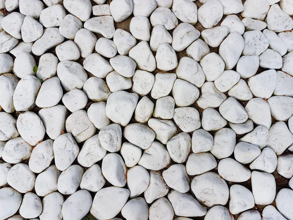 Texture: large sanded gravel. Small white chalk stones. Artistic reliefs from natural objects.