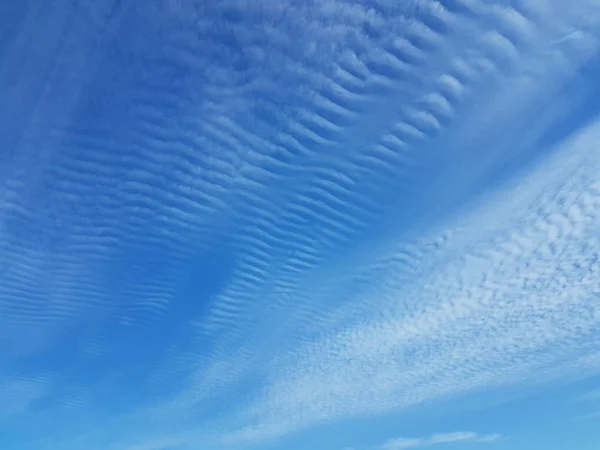 Cirrus Clouds Clear Blue Sky Weather Forecast Water Gaseous State — Stock Photo, Image