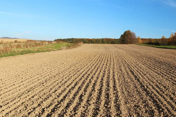 The furrows of the plowed field at the edge of the forest. Free soil for planting crops. Agricultural business. Technology growing food. Seasonal field work. Farmland. The quality of the soil