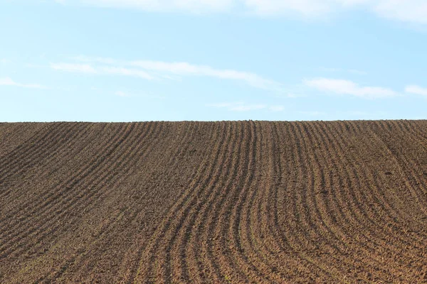 Furrows Row Pattern Plowed Field Prepared Planting Crops Spring Horizontal — Stock Photo, Image