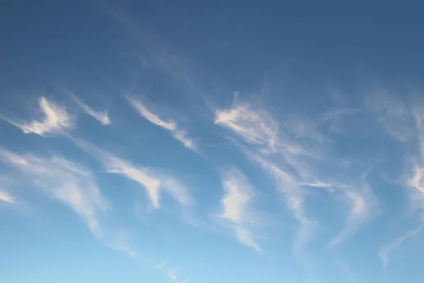 Cirrus Sur Ciel Bleu Clair Prévisions Météo Eau état Gazeux