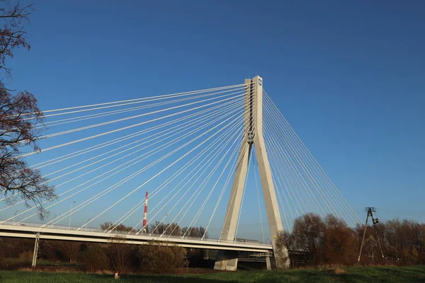 Rzeszow Lengyelország 2018 Felfüggesztett Közúti Híd Wislok Folyón Fémkonstrukciós Technológiai — Stock Fotó