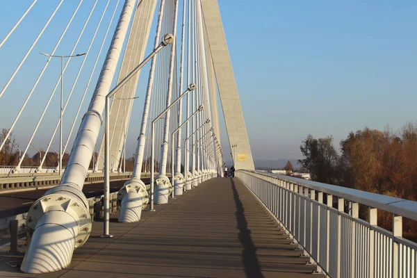 Rzeszow Poland 2018 Suspended Road Bridge Wislok River Технологическая Структура — стоковое фото