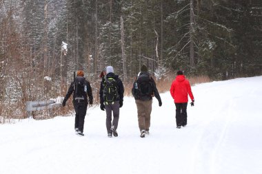 Bir grup insan bir iz üzerinde snowshoeing kışın tadını çıkarıyor. Bir grup insan bir parça kışın snowshoeing zevk. Aşırı soğuk hava koşullarında yürüyüş. Çam ormanı içinde kış turizm.